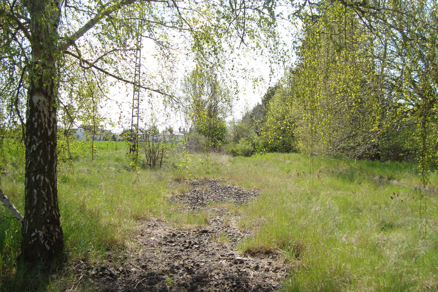 Dähre, westlicher Bahnhofsbereich, 1.5.2016