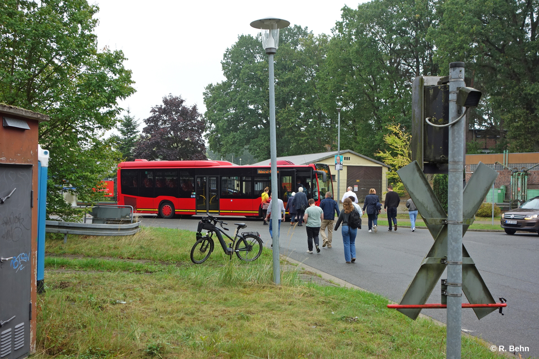 Bustransfer zum Kloster Isenhagen und Otter-Zentrum